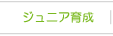 WjA琬